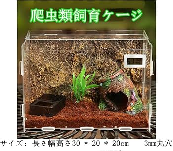 Amazon | JKOOK 爬虫類飼育ケース 透明アクリル 昆虫飼育ケージ 保温